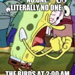 Birds ant 2 am | NO ONE:
LITERALLY NO ONE:; THE BIRDS AT 2:00 AM | image tagged in yelling spongebob | made w/ Imgflip meme maker