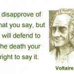 Voltaire quote Defend to the death