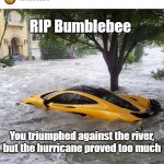 RIP Bumblebee | RIP Bumblebee; You triumphed against the river, but the hurricane proved too much | image tagged in rip bumblebee | made w/ Imgflip meme maker