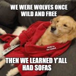 Dog on couch  | WE WERE WOLVES ONCE
WILD AND FREE; MEMEs by Dan Campbell; THEN WE LEARNED Y'ALL 
HAD SOFAS | image tagged in dog on couch | made w/ Imgflip meme maker