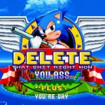 Delete That Shit RIGHT NOW sonic mania