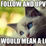 PLZ | PLZ FOLLOW AND UPVOTE IT WOULD MEAN A LOT | image tagged in memes,first world problems cat | made w/ Imgflip meme maker