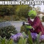 plants exist | ME REMEMBERING PLANTS ARE "ALIVE" | image tagged in kermit watering plants | made w/ Imgflip meme maker
