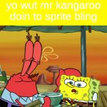 yo wut mr kangaroo doin to sprite bling