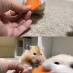 Hamster with Carrot