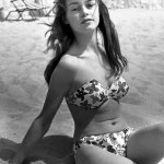 Brigitte Bardot meme