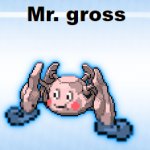 mr gross