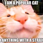 I can't do anything with a straight face | I AM A POPULAR CAT; …; I CAN'T DO ANYTHING WITH A STRAIGHT FACE | image tagged in o cat memes | made w/ Imgflip meme maker