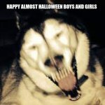 Happy almost Halloween | HAPPY ALMOST HALLOWEEN BOYS AND GIRLS | image tagged in scary husky,halloween | made w/ Imgflip meme maker