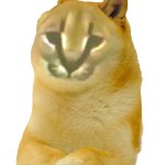 Doge Floppa V1