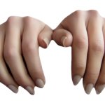 Two Grabbing Hands Manicured Transparent Background