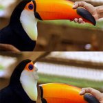removing beak