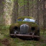 Abandoned Car In The Woods