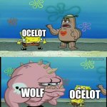 Minecraft wolf and ocelot | OCELOT; WOLF; OCELOT | image tagged in spongebob what about that guy meme,ocelot,wolf,minecraft,mob,memes | made w/ Imgflip meme maker