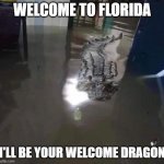 Welcome to Florida | WELCOME TO FLORIDA; I'LL BE YOUR WELCOME DRAGON | image tagged in welcome to florida,welcome dragon | made w/ Imgflip meme maker