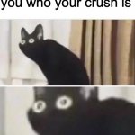 This meme doesn't have a title... :) | when your crush asks you who your crush is OH NO | image tagged in oh no black cat | made w/ Imgflip meme maker