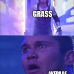 Twitter in a nutshell | GRASS; AVERAGE TWITTER USER | image tagged in memes,funny,twitter,in a nutshell,grass,wwe | made w/ Imgflip meme maker