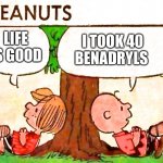Aw hell nah Charlie Brown took 40 Be benadryls | LIFE IS GOOD I TOOK 40 BENADRYLS | image tagged in peanuts charlie brown peppermint patty | made w/ Imgflip meme maker