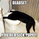 Sick Puppy | DEADSET; YOU'RE A SICK PUPPY! | image tagged in sick puppy | made w/ Imgflip meme maker