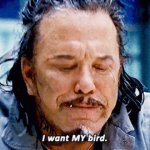 "I WANT MY BIRD", IRON MAN, WHIPLASH