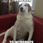 Time to introduce yourself | WHEN IT’S YOUR TURN; TO INTRODUCE YOURSELF TO THE GROUP | image tagged in uncomfortable dog 2 | made w/ Imgflip meme maker