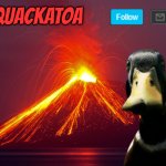 Quackatoa annoucement temp