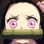 concerned nezuko