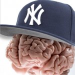 Yankees Scumbag Brain