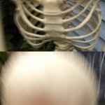 Real Shit Skeleton template