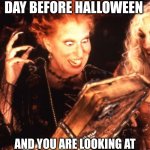 me every Halloween | WHEN IT IS ONE DAY BEFORE HALLOWEEN; AND YOU ARE LOOKING AT HOUSES YOU WANT TO GO TOO | image tagged in winifred book | made w/ Imgflip meme maker