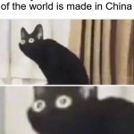 AHHHHHHHHHHHHHHHHHHHHHHHHHHHHHHHHH | When you realize the end of the world is made in China OH NO | image tagged in oh no black cat | made w/ Imgflip meme maker