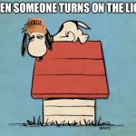 Snoopy bushed | WHEN SOMEONE TURNS ON THE LIGHT | image tagged in snoopy bushed,snoopy,peanuts | made w/ Imgflip meme maker