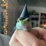 Magic Frog