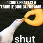 WILL EVERYONE SHUT UP ABOUT IT FOR 5 MINUTES OH MY GOD | "CHRIS PRATT IS A TERRIBLE CHOICE FOR MAR-" | image tagged in bird shut,mario,nintendo,parrot,chris pratt | made w/ Imgflip meme maker