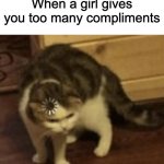 Something's wrong I can feel it | When a girl gives you too many compliments | image tagged in cat loading template,something's wrong i can feel it,wait thats illegal | made w/ Imgflip meme maker