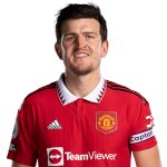 Harry maguire meme