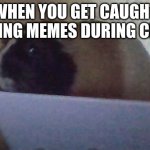when you get caught making memes in class | WHEN YOU GET CAUGHT MAKING MEMES DURING CLASS | image tagged in nervous salad pig | made w/ Imgflip meme maker