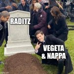 DBZ Saiyan saga | RADITZ; VEGETA & NAPPA | image tagged in guy posing in front of grave | made w/ Imgflip meme maker