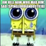 aw hell naw | AW HELL NAW WHO MAD HIM SAD (SPINGLORDIANBOSTIEIB) | image tagged in spunch bop sad | made w/ Imgflip meme maker