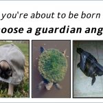 Im choosing the earth type turtle | image tagged in choose a guardian angel | made w/ Imgflip meme maker