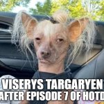 Viserys after Episode 7 of House of the Dragon | AFTER EPISODE 7 OF HOTD; VISERYS TARGARYEN | image tagged in fried dog | made w/ Imgflip meme maker