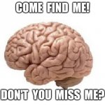 Missing | COME  FIND  ME! DON'T  YOU  MISS  ME? | image tagged in brain | made w/ Imgflip meme maker