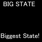 Big state license plate template