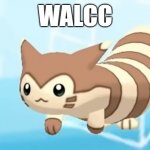 Furret Walcc | WALCC | image tagged in furret walcc | made w/ Imgflip meme maker