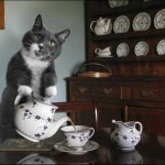 cat tea gossip