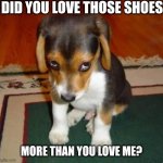 Puppy love | DID YOU LOVE THOSE SHOES; MORE THAN YOU LOVE ME? | image tagged in cute dog | made w/ Imgflip meme maker