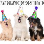 Yay | TODAY IS MY DOGGOS BIRTHDAY | image tagged in happy birthday puppies | made w/ Imgflip meme maker