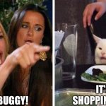 Smudge the cat | IT’S A BUGGY! IT’S A SHOPPING CART! | image tagged in smudge the cat | made w/ Imgflip meme maker