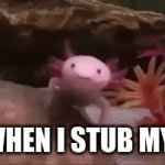 ME WHEN I STUB MY TOE | ME WHEN I STUB MY TOE | image tagged in gifs,axolotl | made w/ Imgflip video-to-gif maker