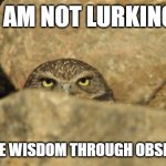 Not Lurking, Wisdom through observation | I AM NOT LURKING; I ACQUIRE WISDOM THROUGH OBSERVATION | image tagged in lurking,wisdom,observe | made w/ Imgflip meme maker